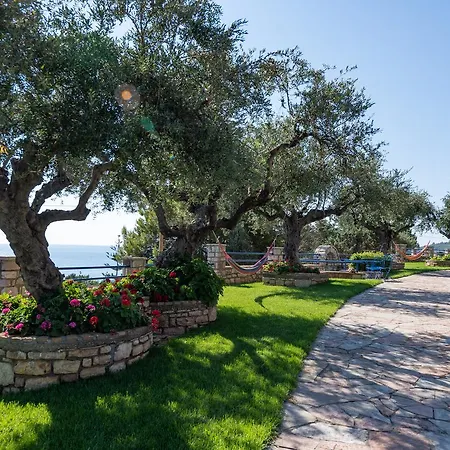 Tasos Koutsoubos Koroni (Messinia)